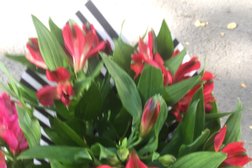 Цветочный салон La Flore, с рейтингом 4.7 - находится по адресу Алматы, Аль-Фараби проспект, 140а/3 