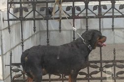 Торгово-офисный центр Славянский, с рейтингом 3 - находится по адресу Пенза, улица Кирова, 55а 