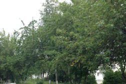 Научно-техническая компания НИИпроектасбест, с рейтингом 5 - находится по адресу Свердловская область, Асбест, Промышленная улица, 7 