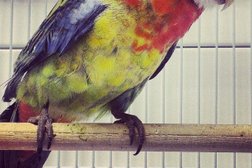 Зоомагазин Рыжий хвост, с рейтингом 5 - находится по адресу Московская область, Балашиха, Кольцевая улица, 3 к2 