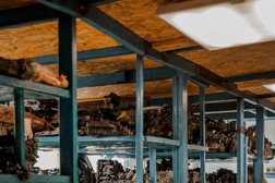 Автосервис DriveForward, с рейтингом 3.2 - находится по адресу Тула, посёлок Мясново, Ханинский проезд, 9 