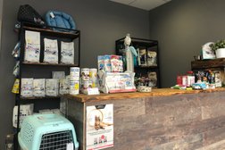 Ветеринарная клиника ParaDogs, с рейтингом 3.3 - находится по адресу Калининград, Юрия Гагарина, 16а соор 