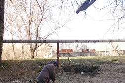 Управляющая компания Единство, с рейтингом 2.3 - находится по адресу Саратов, Пономарёва улица, 27 