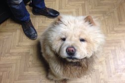 ИТ-аутсорсинговая компания АйТиЭс, с рейтингом 3 - находится по адресу Белгород, Есенина, 20в 