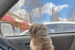 Супермаркет Перекрёсток, с рейтингом 1.5 - находится по адресу Московская область, с. Павловская Слобода, улица Ленина, 73 