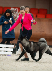 Грумер Татьяна Витальевна Щипанова