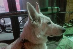 Супермаркет Слата, с рейтингом 3.5 - находится по адресу Иркутск, Депутатская улица, 63/1 