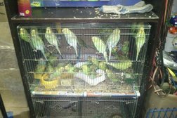 Торговый центр Кейсария, с рейтингом 3.5 - находится по адресу Ставрополь, улица Ленина, 308 ст3 