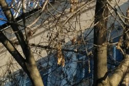 Колледж Уральский государственный аграрный университет, с рейтингом 5 - находится по адресу Екатеринбург, улица Карла Либкнехта, 42 