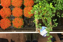 Гипермаркет товаров для ремонта, дома и сада OBI, с рейтингом 3.3 - находится по адресу Рязань, Московское шоссе, 65а к1 