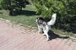 Акбулак-3, с рейтингом 2.7 - находится по адресу Нур-Султан, Қадырғали Жалайыри, 7 