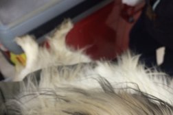 Супермаркет Магнит, с рейтингом 4.2 - находится по адресу Москва, улица Маршала Тимошенко, 44 