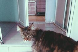 Ветеринарная клиника ВетВолга, с рейтингом 3.3 - находится по адресу Волгоградская область, Волжский, улица 22-я Линия, 2 