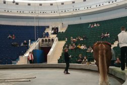 Тульский государственный цирк Российская Государственная цирковая компания, с рейтингом 4.5 - находится по адресу Тула, Советская улица, 96 