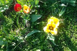 Библиотека с. Красносвободного, с рейтингом 4 - находится по адресу Тамбовская область, с. Красносвободное, улица Тимирязева, 3а 