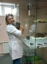 Грумер, зооняня Мария Голиненко