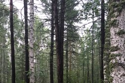 База отдыха Абзаково, с рейтингом 4.1 - находится по адресу Республика Башкортостан, с. Новоабзаково, Кизильская, 36 