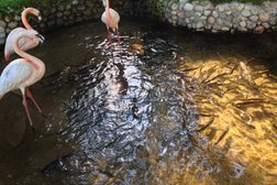 Зона отдыха Ак Орда, с рейтингом 4.5 - находится по адресу Алматы, Алма-Арасан, 15 