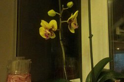 Нотариус Даулетбай Б.Б., с рейтингом 5 - находится по адресу Шымкент, Елшибек батыра, 112 