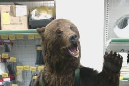 Торговый дом Вимос, с рейтингом 4 - находится по адресу Псков, Октябрьский проспект, 60 