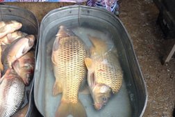 Миллеровский рынок, с рейтингом 4 - находится по адресу Ростовская область, Миллерово, Российская улица, 57 