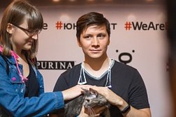 Частный приют для кошек Мурлыка, с рейтингом 3.3 - находится по адресу Московская область, Балашиха, Советская улица, 36 к13 