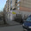 фотография Оливка