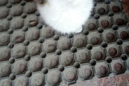 Магазин автозапчастей Корея авто, с рейтингом 5 - находится по адресу Иваново, улица Богдана Хмельницкого, 30а 