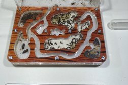 Зоомагазин Планета Экзотики, с рейтингом 3.6 - находится по адресу Москва, Кирпичная улица, 29 