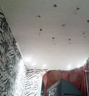 Водитель, курьер Алексей Александрович Егоров