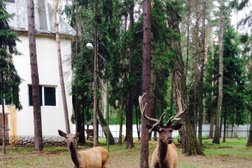 Пансионат Солнечная поляна, с рейтингом 3.6 - находится по адресу Московская область, Волково деревня, ст1 