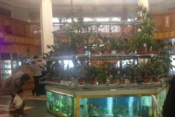 Кафе Шарк, с рейтингом 5 - находится по адресу Тюменская область, Тобольск, автодорога Тюмень-Ханты-Мансийск трасса 253 км, ст1 