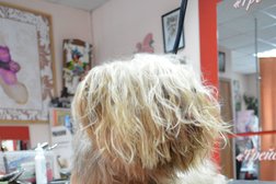 Специализированный зоосалон красоты для животных Трейси, с рейтингом 2.4 - находится по адресу Барнаул, Комсомольский проспект, 126 