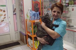 Ветеринарная клиника Оазис, с рейтингом 2.6 - находится по адресу Брянск, улица 22-го Съезда КПСС, 31а 