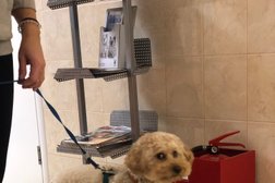 Ветеринарная клиника Свой доктор, с рейтингом 3.4 - находится по адресу Москва, Ярцевская улица, 34 ст1 