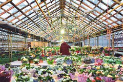Ноябрьский садовый центр-теплица, с рейтингом 4 - находится по адресу Ямало-Ненецкий автономный округ, Ноябрьск, посёлок Ладный, 3 