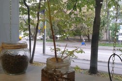 Кофейня Кофе Йог, с рейтингом 4 - находится по адресу Москва, 3-я Парковая улица, 4 