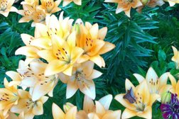 Таунхаус для отдыха Родники, с рейтингом 5 - находится по адресу Калужская область, Кременки, 2-й Центральный проезд, 4 