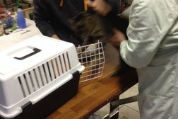 Ветеринарный кабинет в Майском переулке, с рейтингом 2.6 - находится по адресу Калининград, Майский переулок, 5 