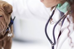 Ветеринарная клиника доктора Зарубина, с рейтингом 4.8 - находится по адресу Ростов-на-Дону, Добровольского, 32 