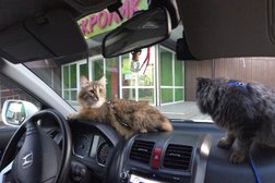 Зоомагазин Белый кролик, с рейтингом 3 - находится по адресу Владивосток, Деревенская улица, 14 ст5 