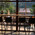 фотография Mom's cafe