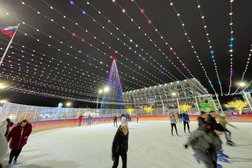 Губернский каток, с рейтингом 4 - находится по адресу Тула, проспект Ленина, 2/1 