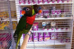 Ветеринарная клиника ВетЗооЦентр, с рейтингом 3 - находится по адресу Тюмень, улица Пермякова, 69 