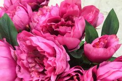 Студия красоты Capella, с рейтингом 5 - находится по адресу Алматы, Желтоксан, 138 