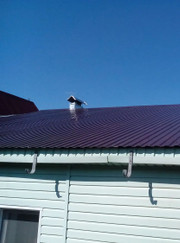 Монтажник потолков, маляр-штукатур Роман Олегович Жаворонков