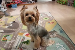 Зоосалон MasterGroom, с рейтингом 4.4 - находится по адресу Санкт-Петербург, Большевиков проспект, 38 к5а 