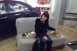 Автосалон Автоград, с рейтингом 3.5 - находится по адресу Санкт-Петербург, улица Руставели, 37 