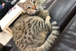 Автосервис Автотеатр, с рейтингом 2.8 - находится по адресу Московская область, Дмитров, улица Бирлово Поле, 30а 