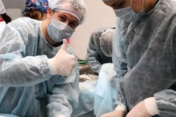 Ветеринарная клиника Свой доктор, с рейтингом 1.9 - находится по адресу Приморский край, Уссурийск, Западный переулок, 6 